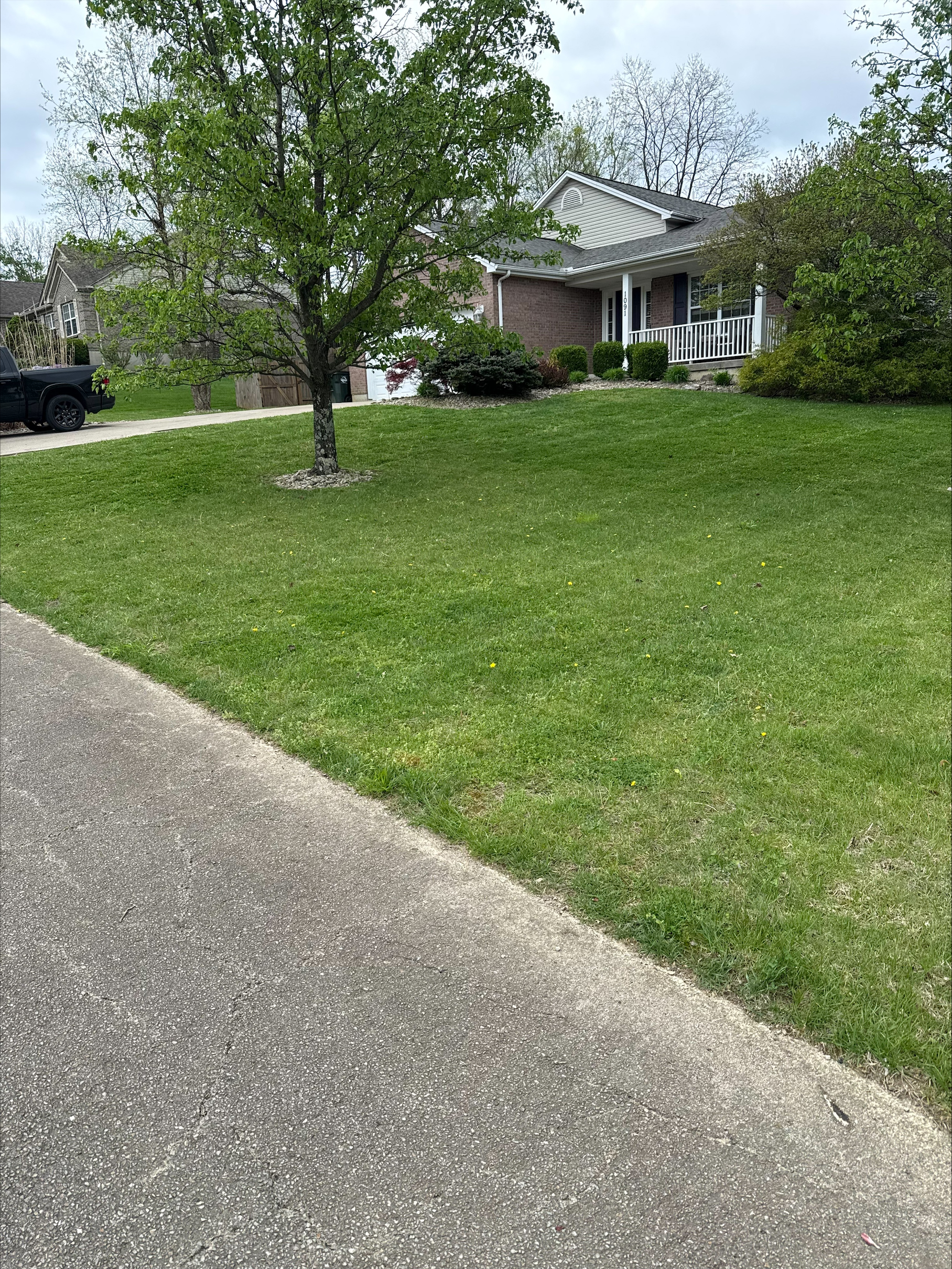 Professional lawn care and mowing Clermont County Ohio – TerraSix