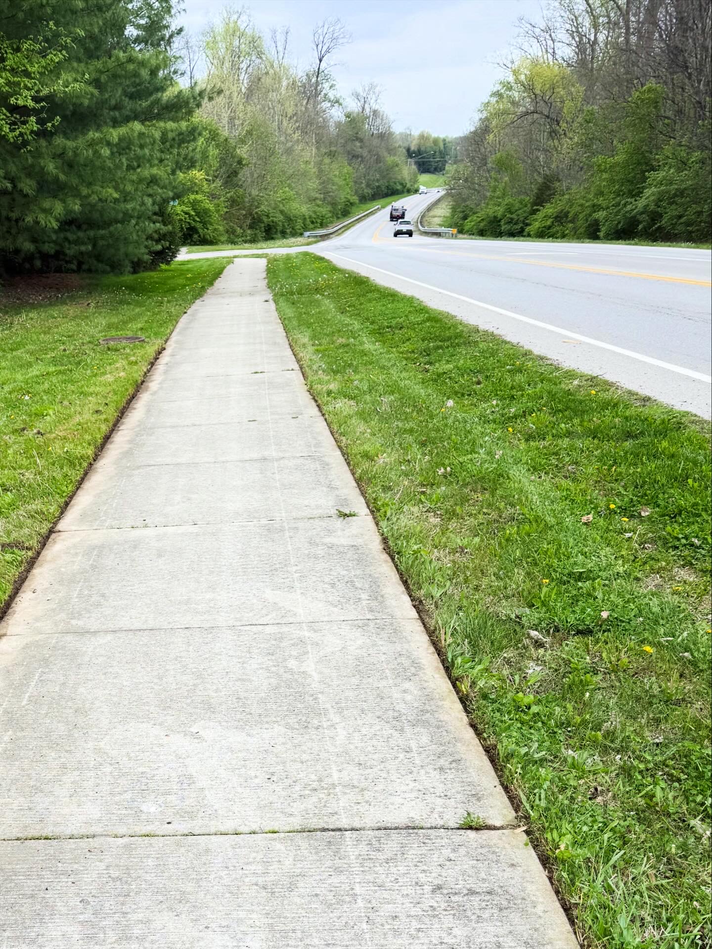 Lawn maintenance Anderson Township Ohio – professional landscaping