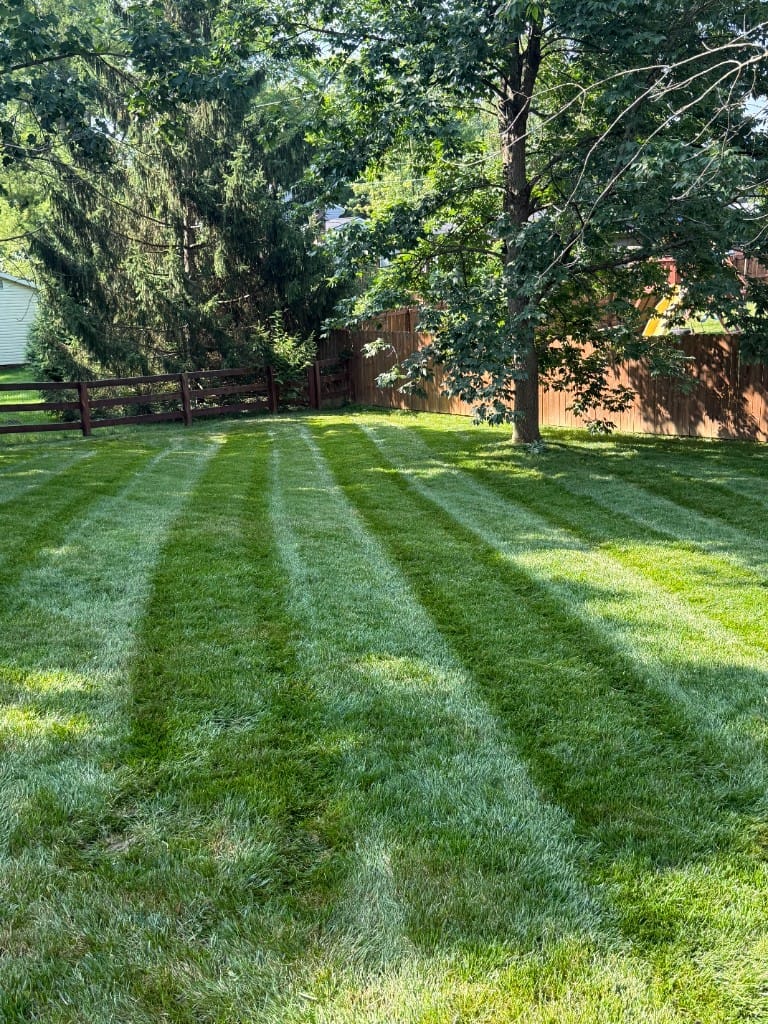 Professional striped lawn mowing in a Batavia Ohio backyard – TerraSix
