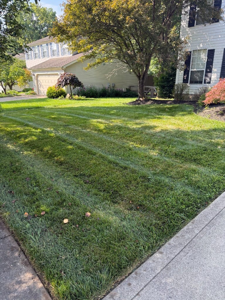 Residential front yard lawn mowing Anderson Township Ohio – TerraSix