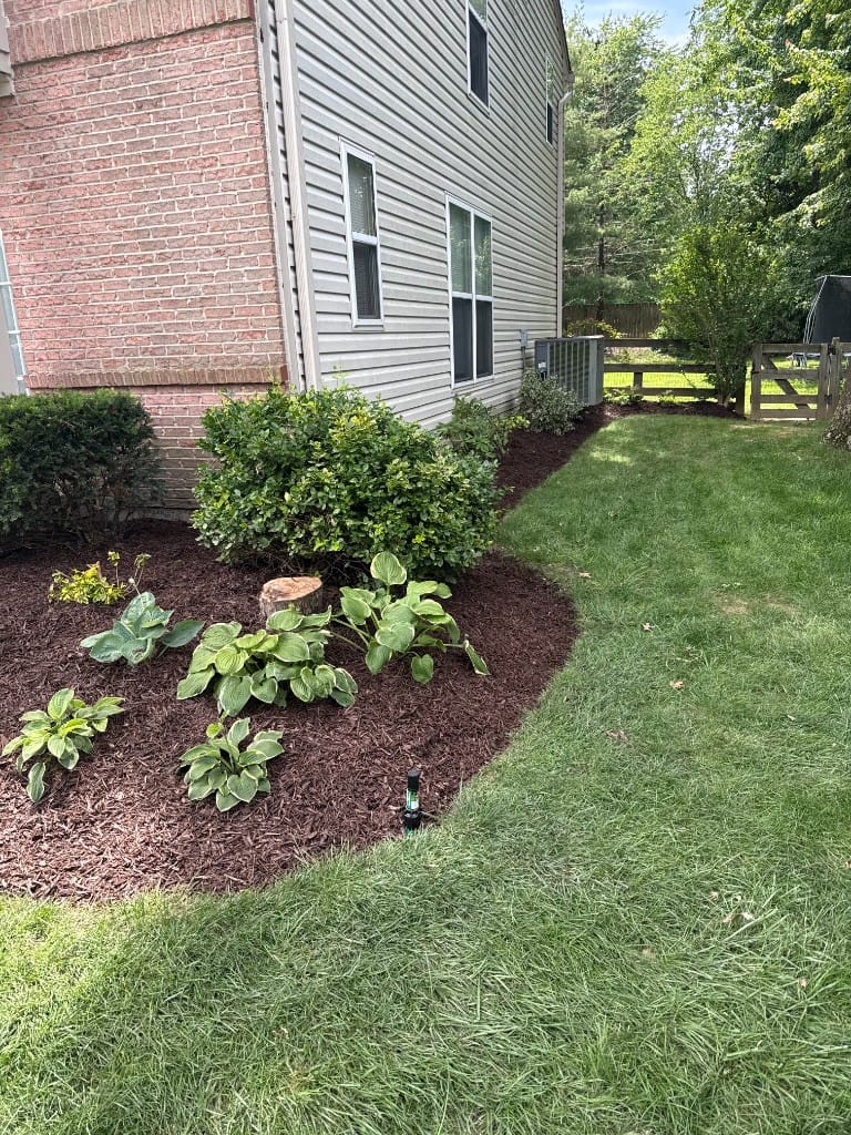 Mulched garden bed and lawn edging Milford Ohio – TerraSix landscaping