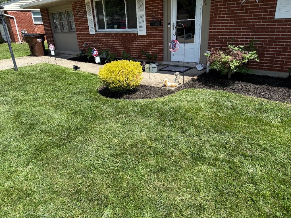 Residential lawn care and curb appeal Milford Ohio – TerraSix