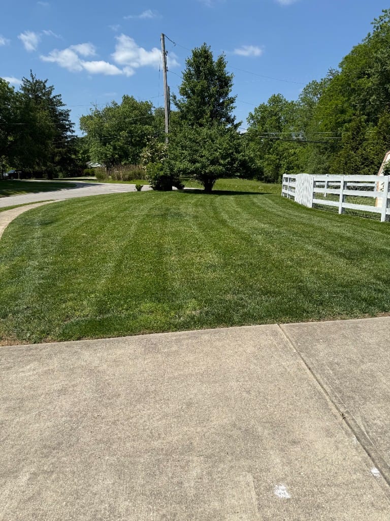 Large residential lawn with professional striping Batavia Ohio – TerraSix